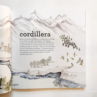 Geografía de pájaros : chile central