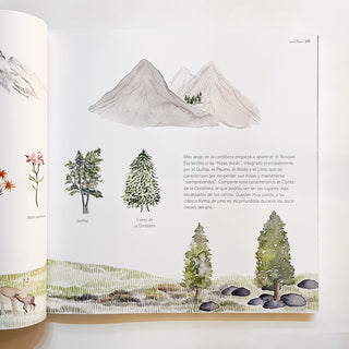 Geografía de pájaros : chile central