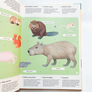 Enciclopedia de animales para jóvenes lectores