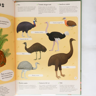 Enciclopedia de las aves