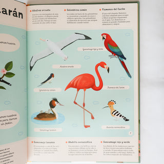 Enciclopedia de las aves