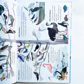 El gran libro de las aves