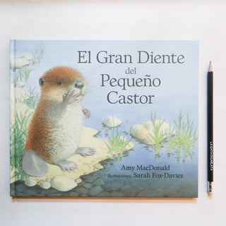 El gran diente del pequeño castor