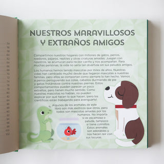 50 locuras que hacen las mascotas