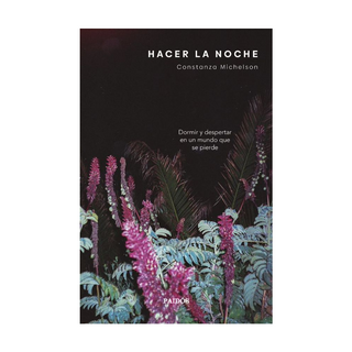 Portada del libro Hacer la Noche de Constanza Michelson