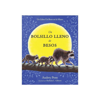 Portada del libro Un bolsillo lleno de besos